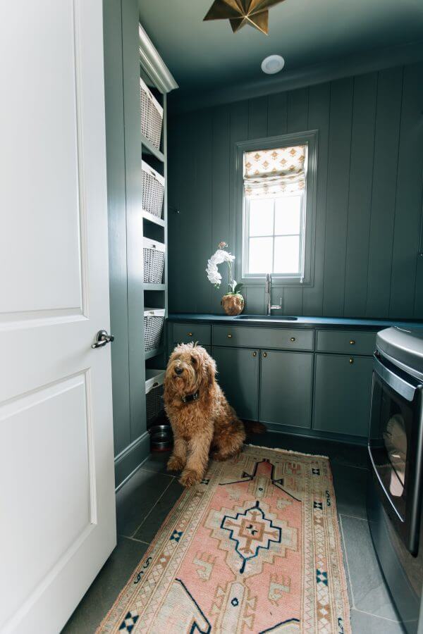 laundry room with goldendoodle in it