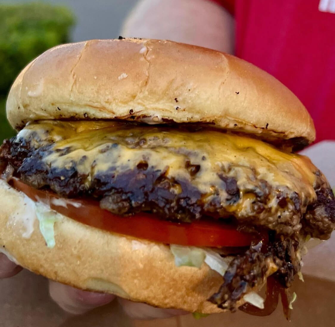 Close-up of burger topped with cheese, tomato, and lettuce