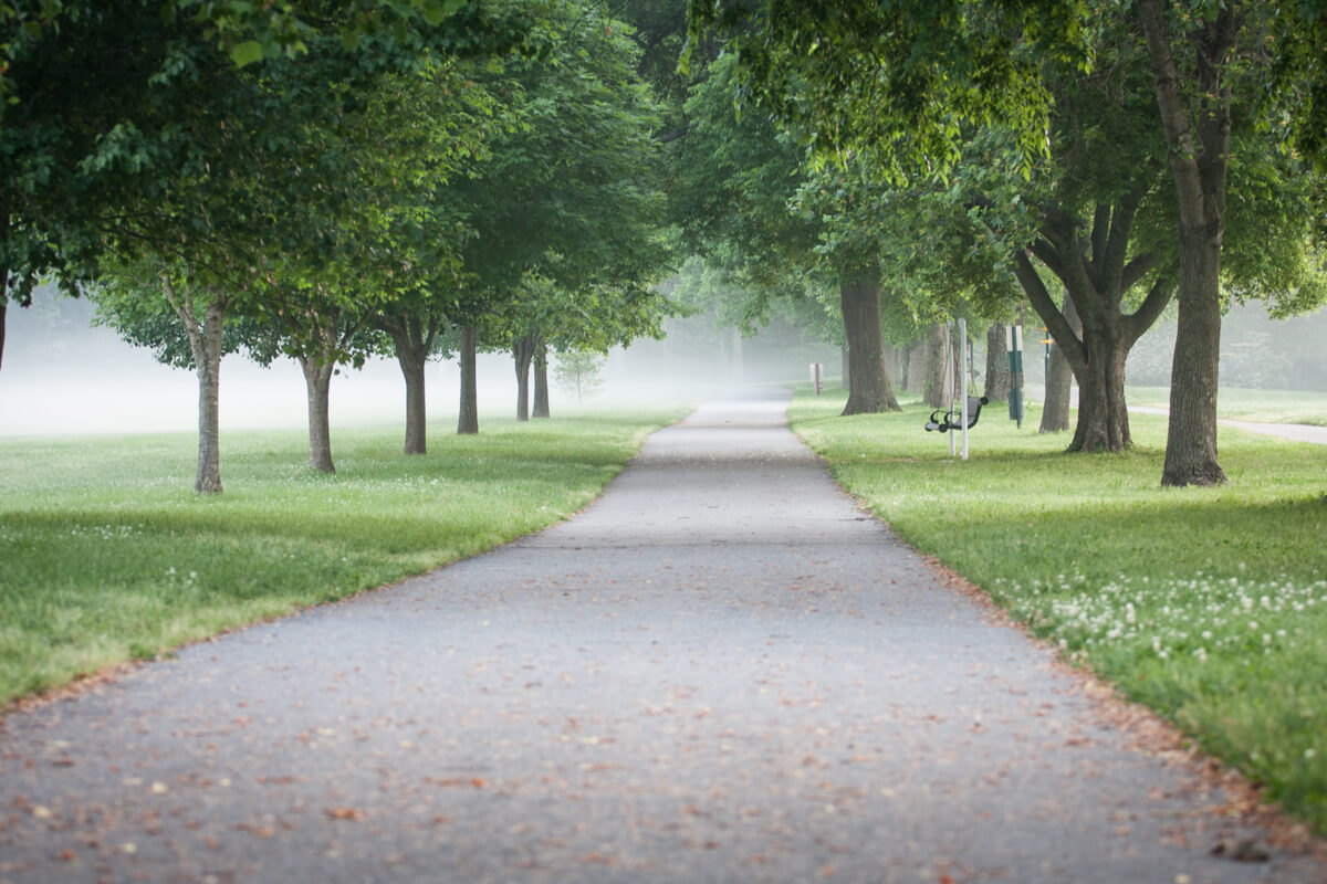 Tree-lined walking trail in Franklin, TN.