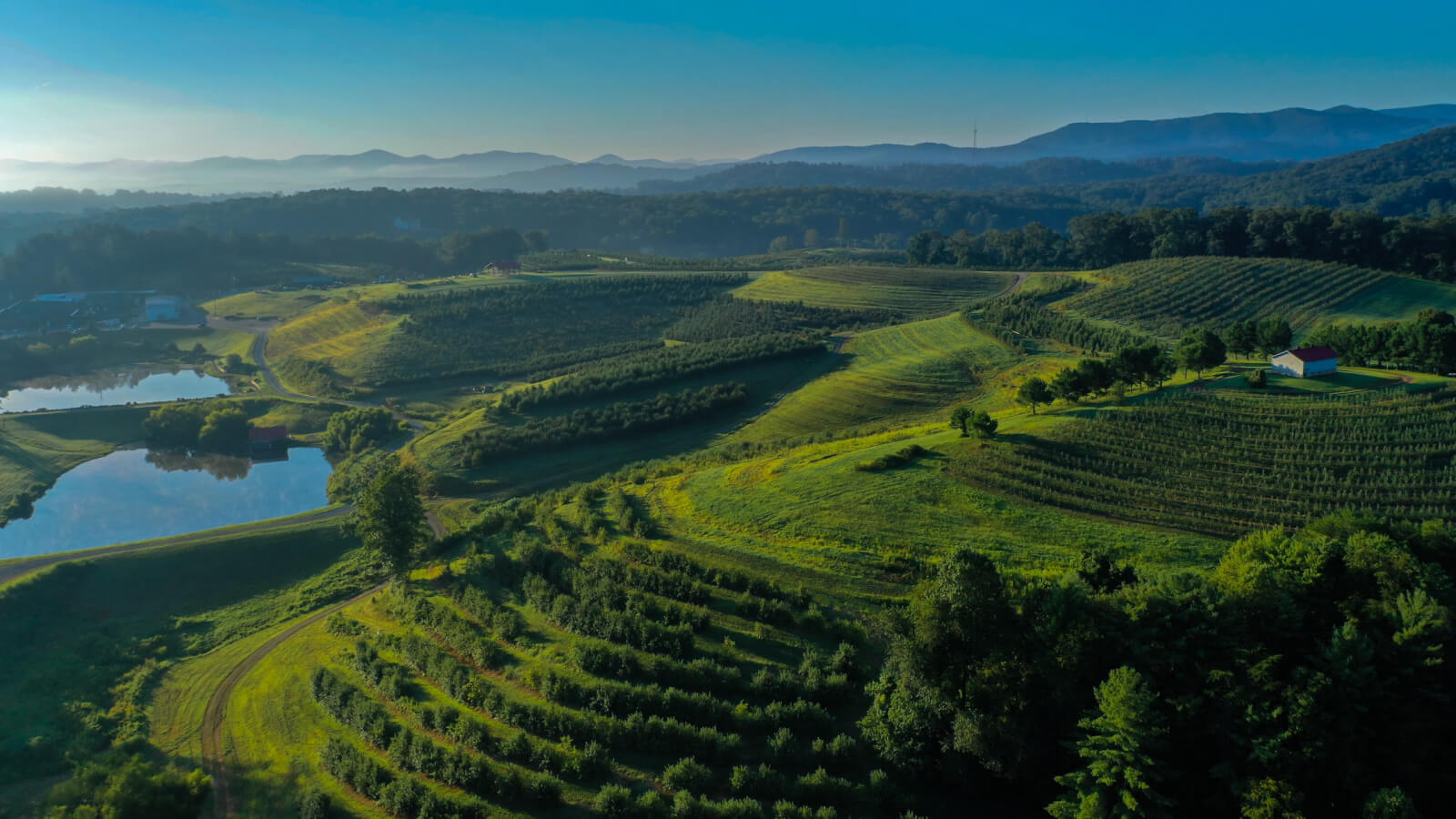 Aerial view of Mercier Orchards in Blue Ridge, GA