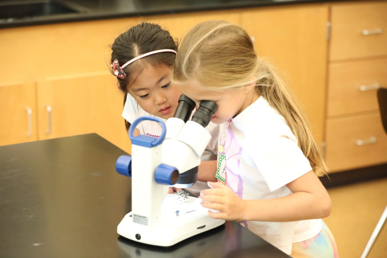 In a vibrant classroom reminiscent of Nashville summer camps, two young girls are eager explorers. One peers intently into the microscope, unraveling microscopic worlds, while the other watches with keen interest, both captivated by the wonders of science and discovery.