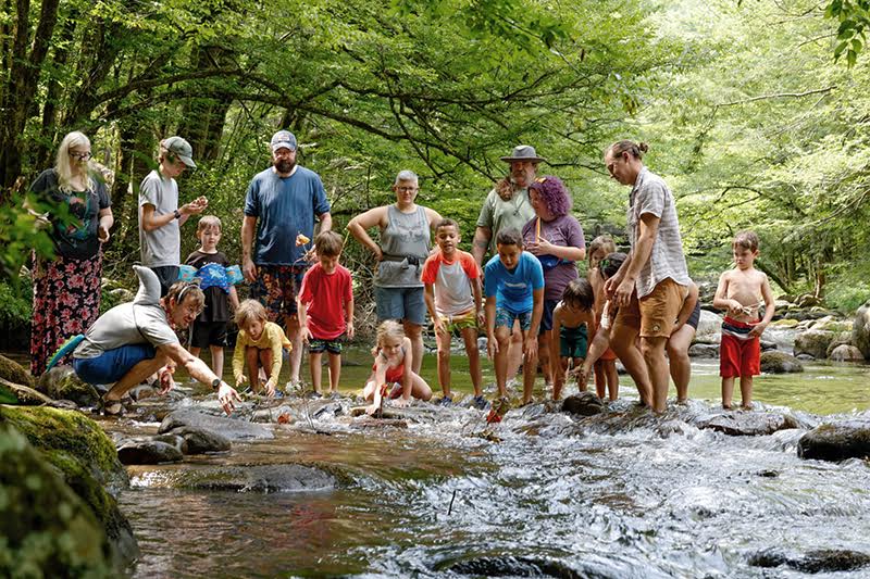 A group of people, including children and adults from Nashville summer camps, explore a shallow stream in a forested area.