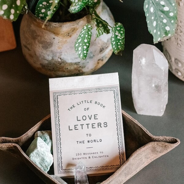 A small book titled "The Little Book of Love Letters to the World" is elegantly displayed alongside crystals, a plant, and a stone pot. This charming setup captures the essence of Southern finds in February, offering warmth and inspiration during the winter months.