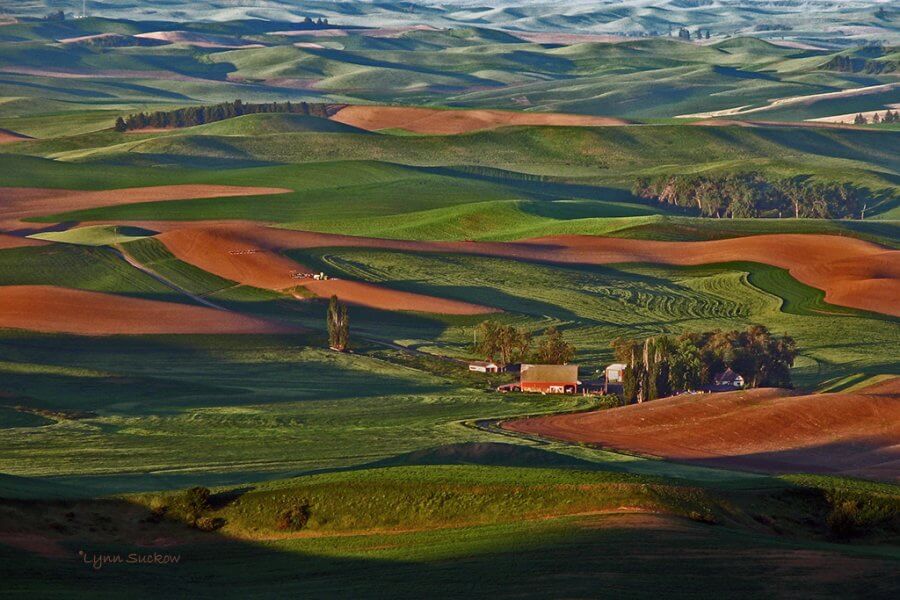 Hills in Palouse in Washington