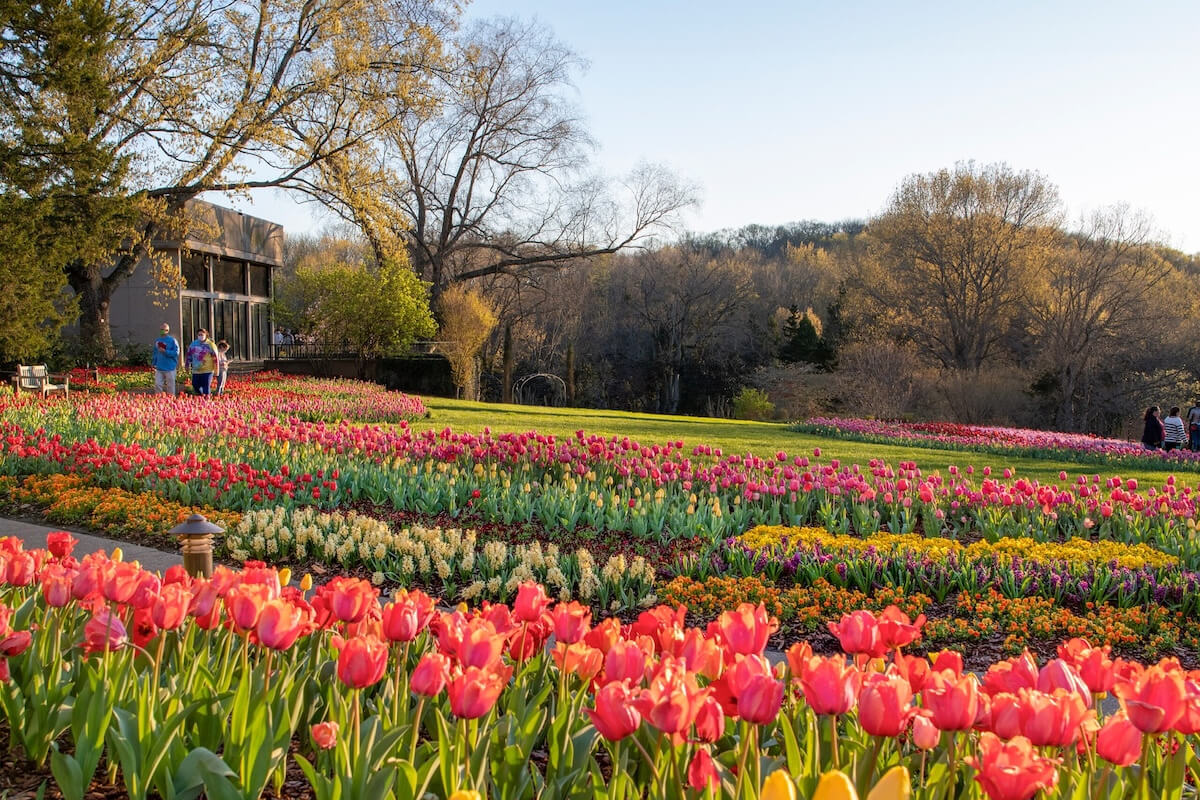 20+ Nashville Events & Happenings: March 2025