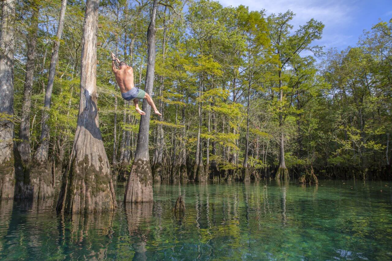 A person diving into a clear freshwater spring surrounded by forested area.