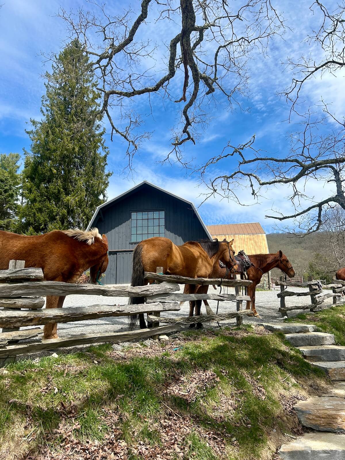 Catle Ranches NC's New Luxury Resort: Cataloochee Ranch | StyleBlueprint