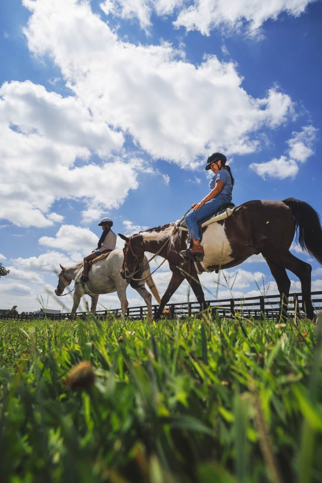 Two riders on horseback enjoying a sunny day outdoors, exploring the many things to do in Lexington.