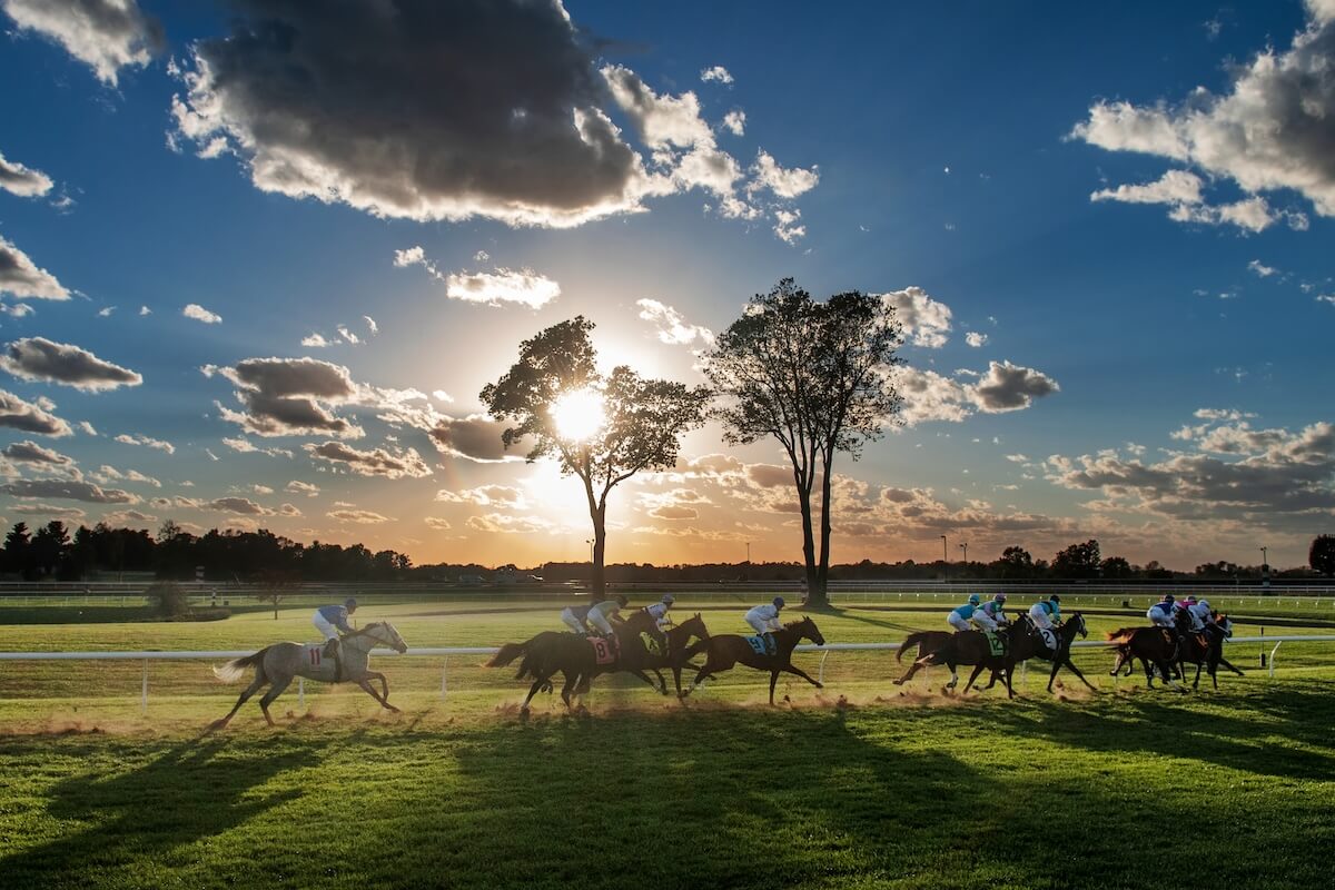 Horse race at sunset with silhouettes of trees against a cloudy sky, a popular activity among things to do in Lexington.