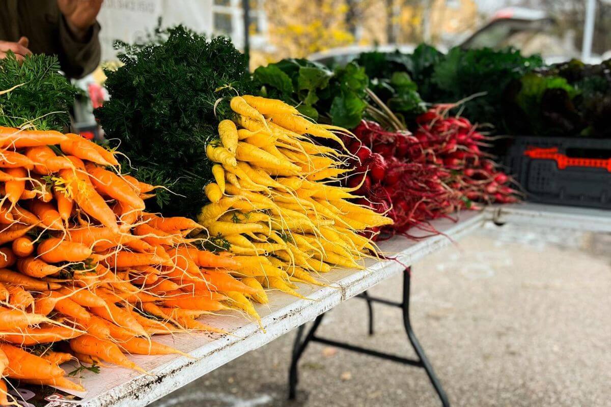 Bunches of orange, yellow, and red carrots with greens attached are displayed on a white table at one of the vibrant Memphis farmers markets.