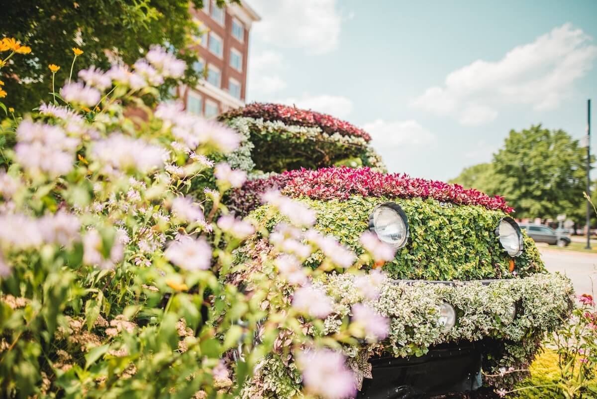 15 Southern Events & Happenings: June 2025