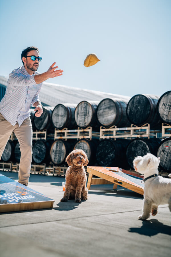 A man with sunglasses tosses a bean bag while playing cornhole next to stacked barrels. Two small dogs, one brown and one white, observe attentively.