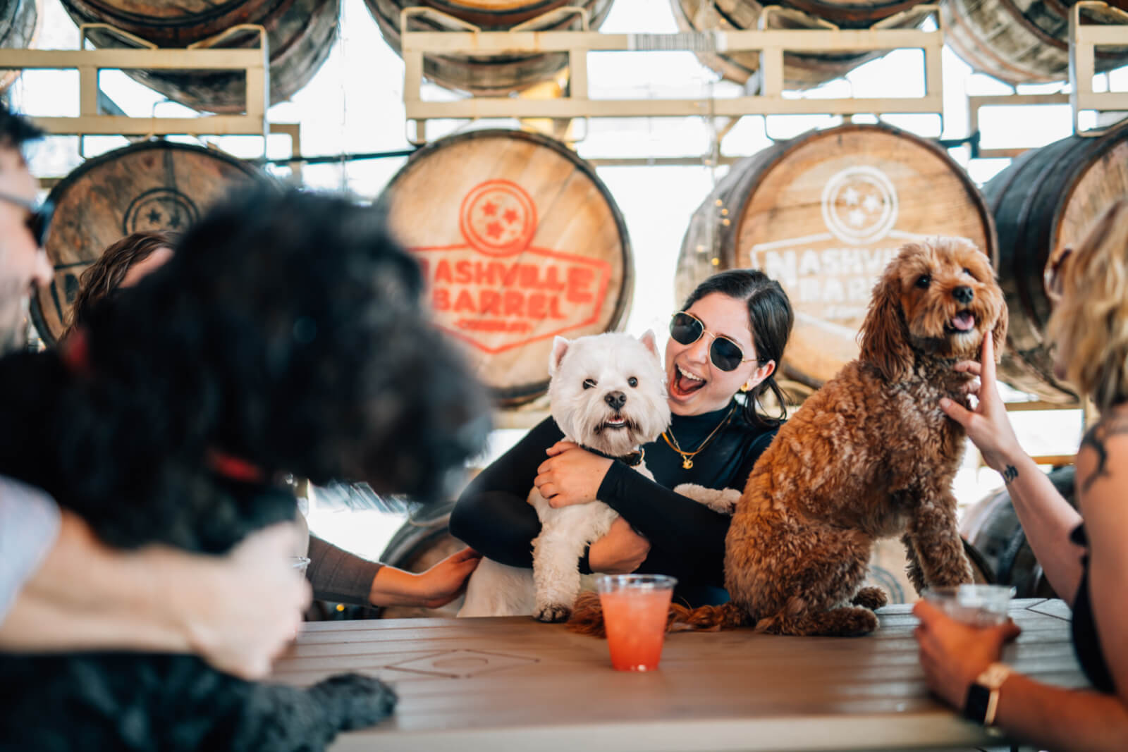 People sitting at a table with drinks, holding and interacting with dogs in front of Nashville Barrel barrels as they add another stamp to their TN Pawsport.