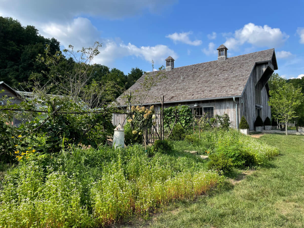 A weathered wooden barn, often called "The Shed," stands in a lush green landscape with a clear blue sky. A garden with various plants and a small fence is in the foreground.