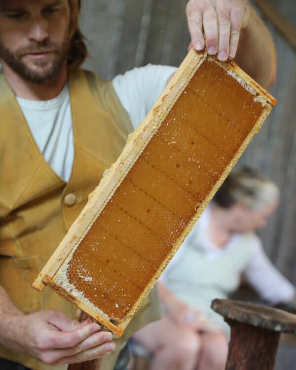 A man holds a honeycomb frame filled with honey, demonstrating beekeeping techniques from The Shed. Another person is visible in the background.