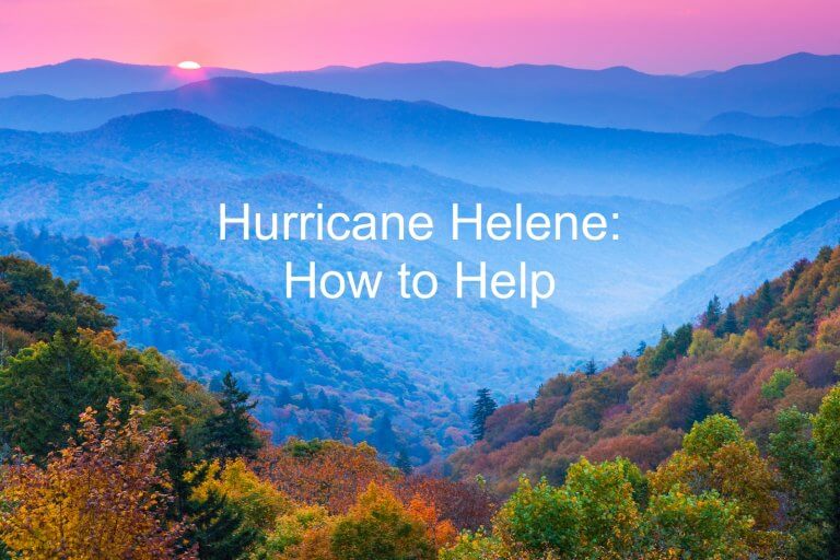 How to Help Those Affected by Hurricane Helene | StyleBlueprint