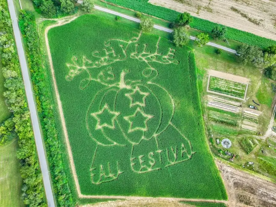 Aerial view of a cornfield designed with the words "Nashville Fall Festival 2024" and a pumpkin with stars. Roads and Nashville Pumpkin Patches are visible on the outskirts.