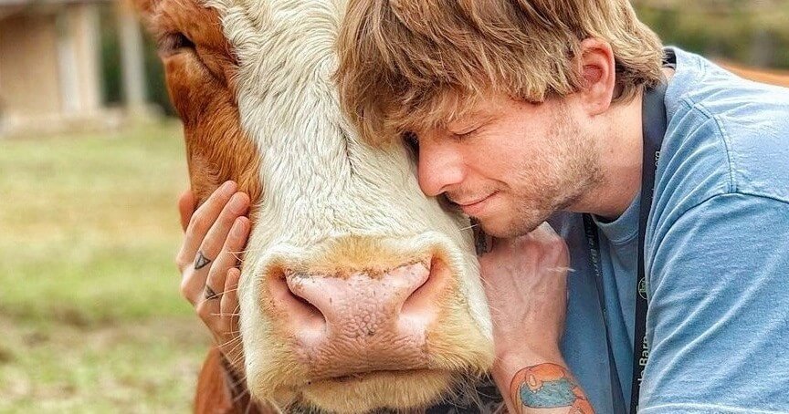 A person in a blue shirt lovingly hugs a cow outdoors, resting their head against the cow's face, creating a heartwarming animal encounter.