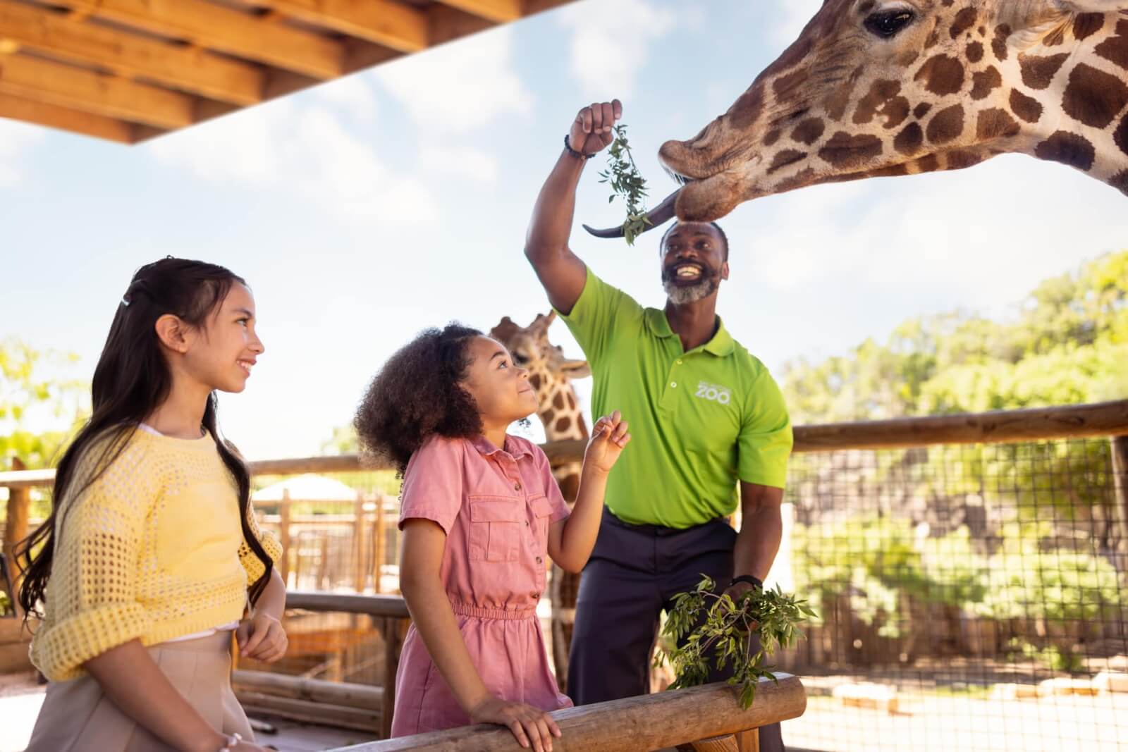 At the zoo, a man and two children experience unforgettable animal encounters as they feed a giraffe. The man holds up leafy branches, and the giraffe sticks out its tongue to eat the leaves.