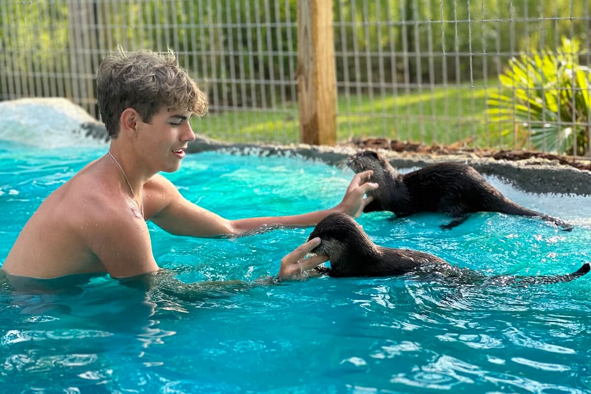 10 Bucket List Animal Encounters Around the South