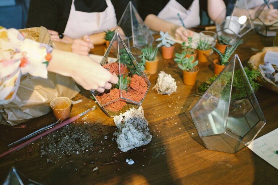 30+ Memphis Adult Education Classes to Enrich Your Life! - 4 People are assembling glass terrariums with soil, moss, and succulents on a wooden table during one of the Memphis adult education classes. Various supplies and empty terrariums are visible.