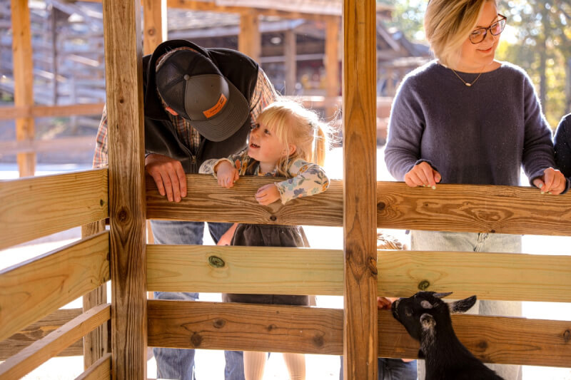 A man and a child lean over a wooden fence to look at a small black goat.