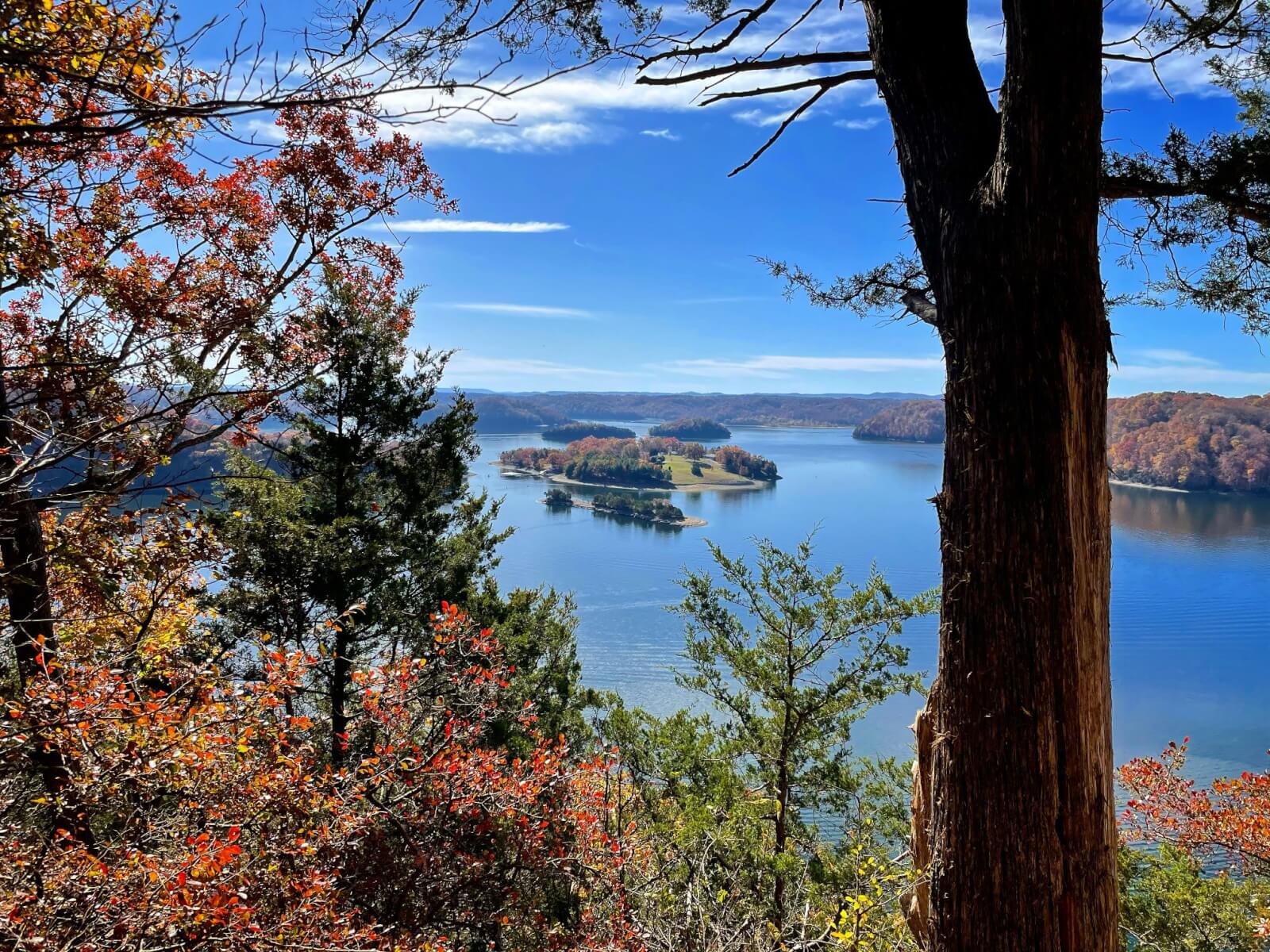 Experience the beauty of family vacations in Tennessee with a scenic view of a lake dotted with small islands, all framed by vibrant autumn trees. In the foreground, a tall tree trunk stands proudly under a clear blue sky, inviting you to explore this stunning natural wonder.