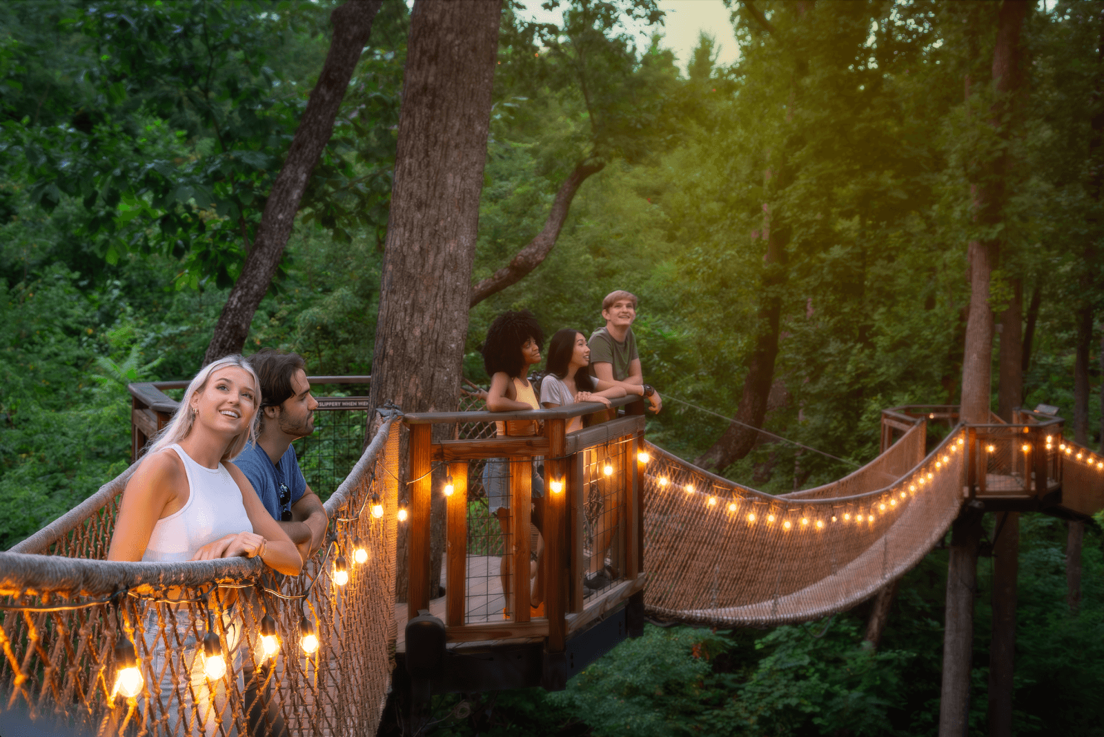 A family enjoying a vacation in Tennessee stands on a tree canopy walkway, surrounded by lush green trees, with string lights illuminating the path.