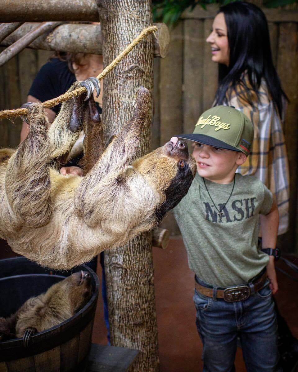 A child wearing a green cap smiles at a sloth climbing a rope during one of those unforgettable family vacations in Tennessee. Another person stands behind the sloth, watching the delightful scene unfold.