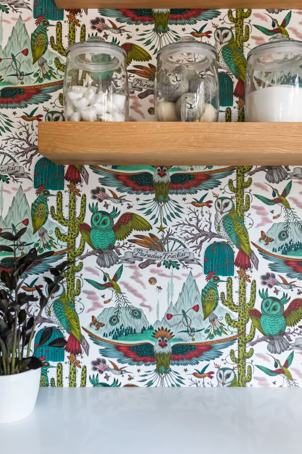 Colorful wallpaper with birds and cacti behind a wooden shelf holding jars. A small potted plant sits on a white surface below.