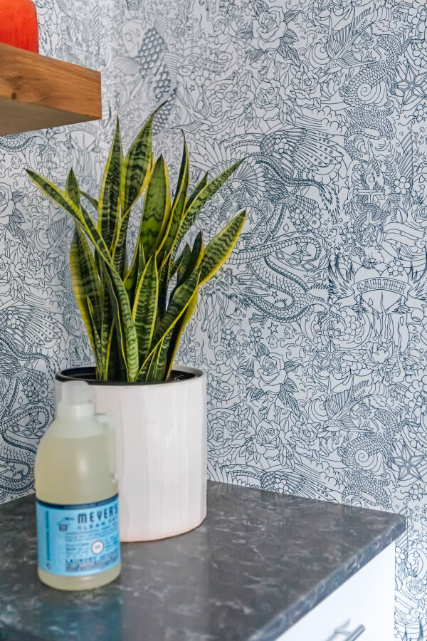A potted snake plant sits on a countertop with a bottle of liquid soap beside it. The background features intricately patterned wallpaper with various abstract designs.