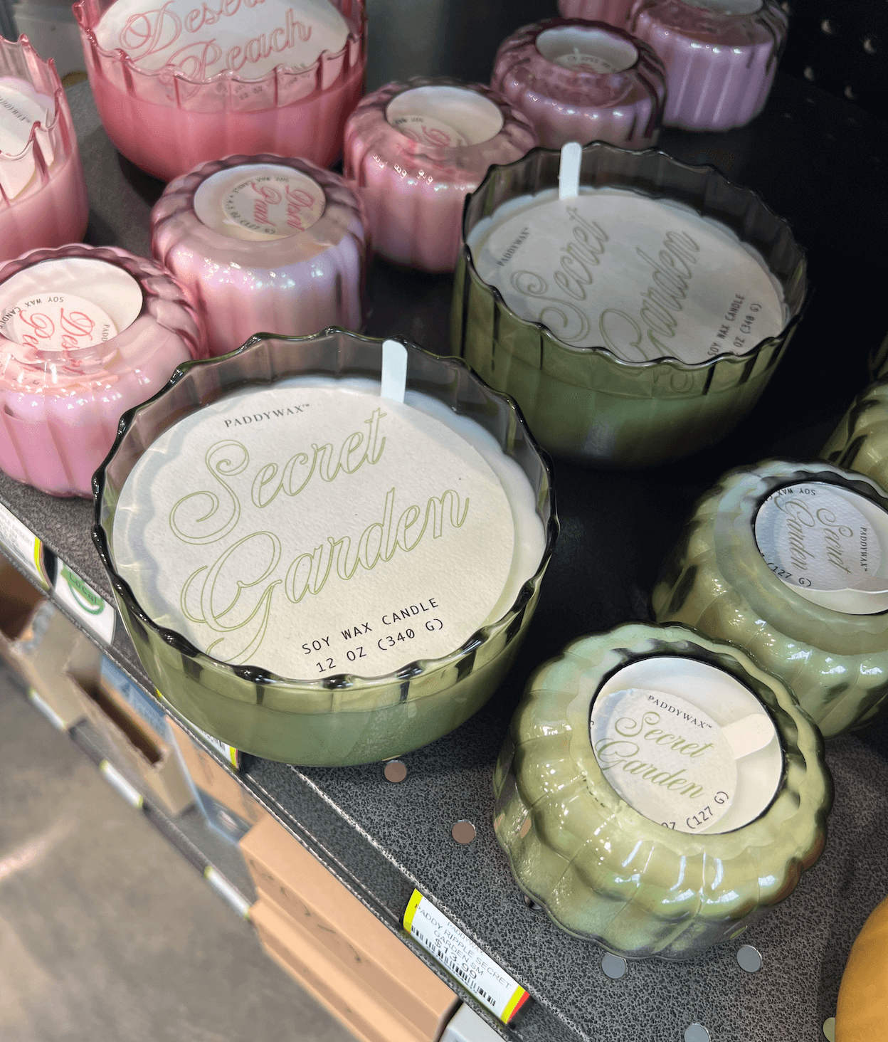 Discover your latest Nashville find with an exquisite collection of various Paddywax scented candles displayed in decorative glass jars on a shelf at Turnip Truck.