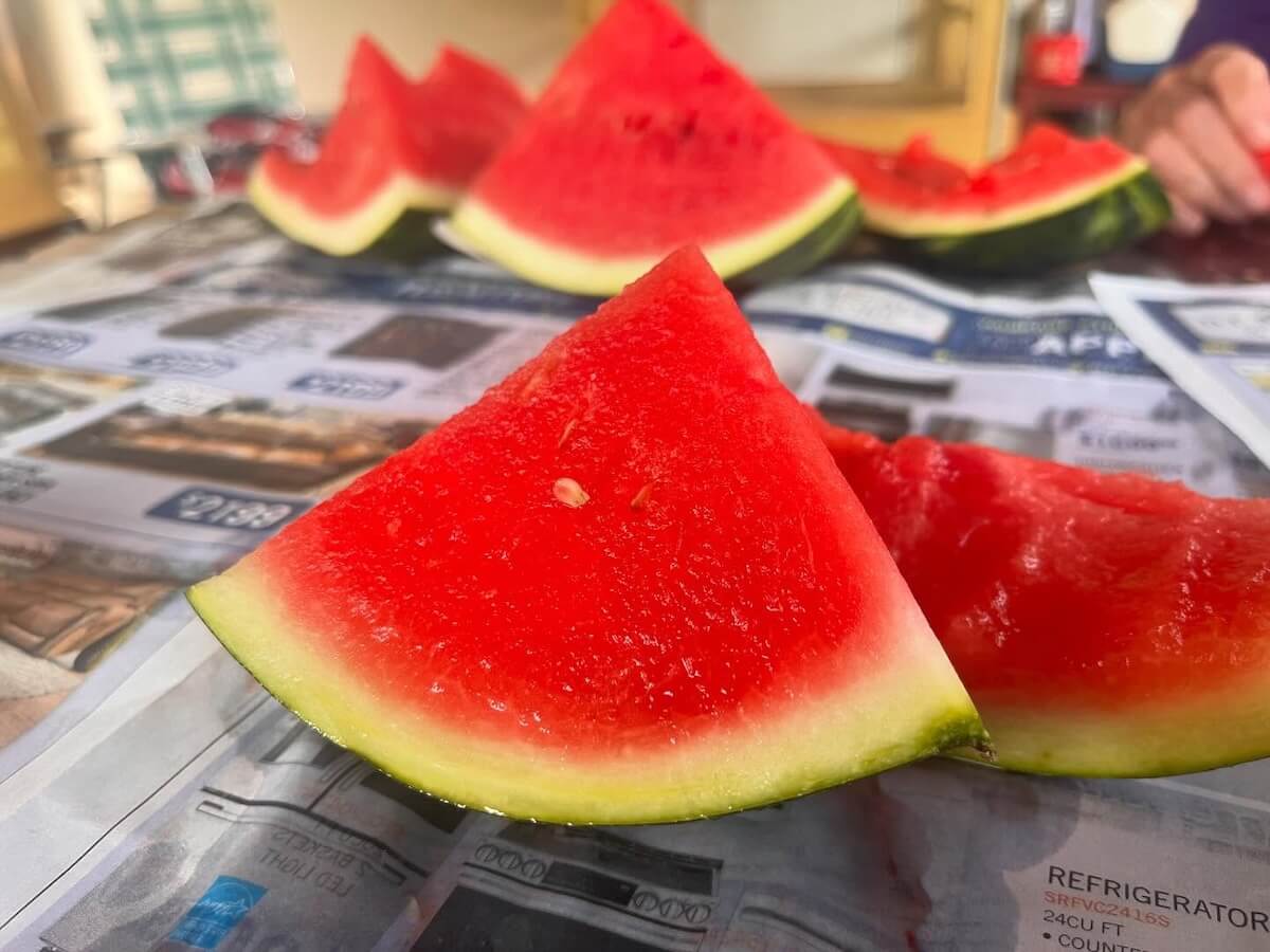 Slices of fresh watermelon, reminiscent of food and wine festivals, rest on newspaper, showcasing their juicy red interiors and vibrant green rinds.