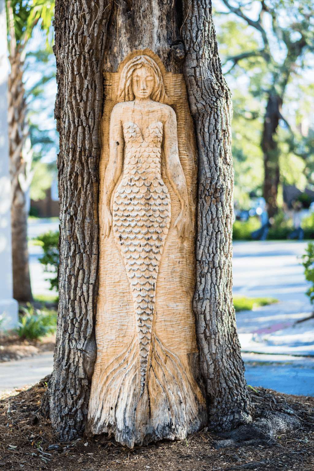 Tree Map Pin Southern Kid-Friendly Weekend Getaways for Outdoor Fun