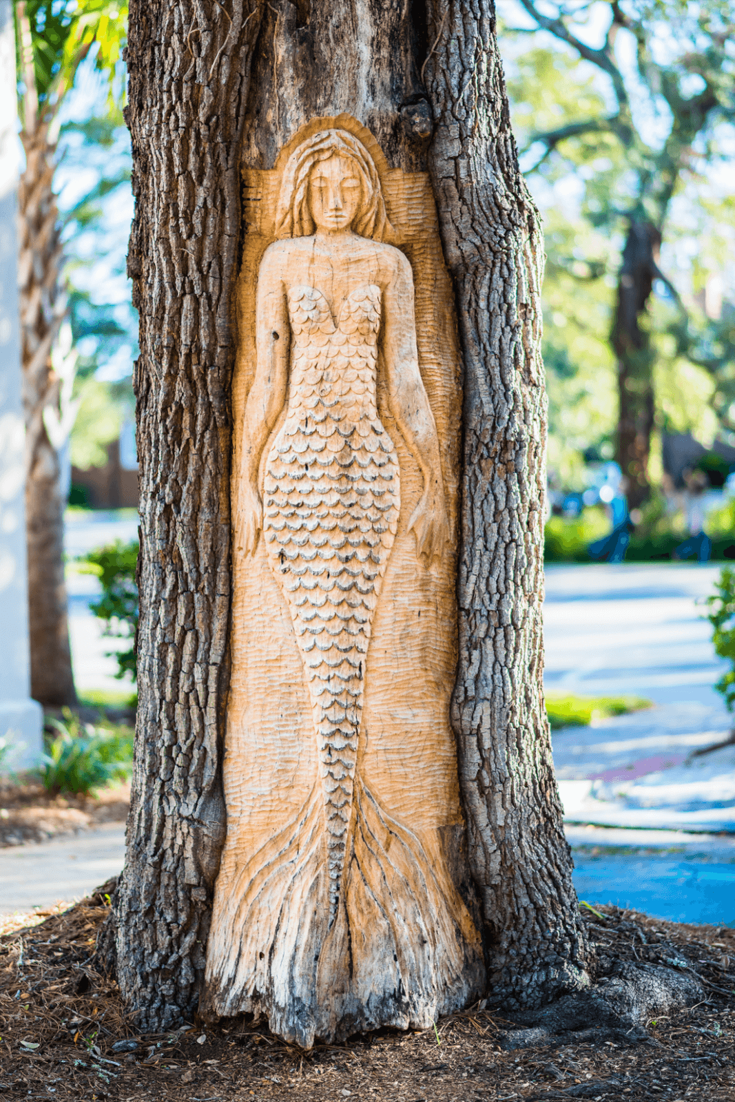 7 Best Family Vacations for Outdoor Fun - 3 A mermaid carved into a tree trunk emerges amidst the bark, enveloped by lush foliage, with a lively street in the background—a perfect spot for outdoor fun and creating memorable moments during family vacations.