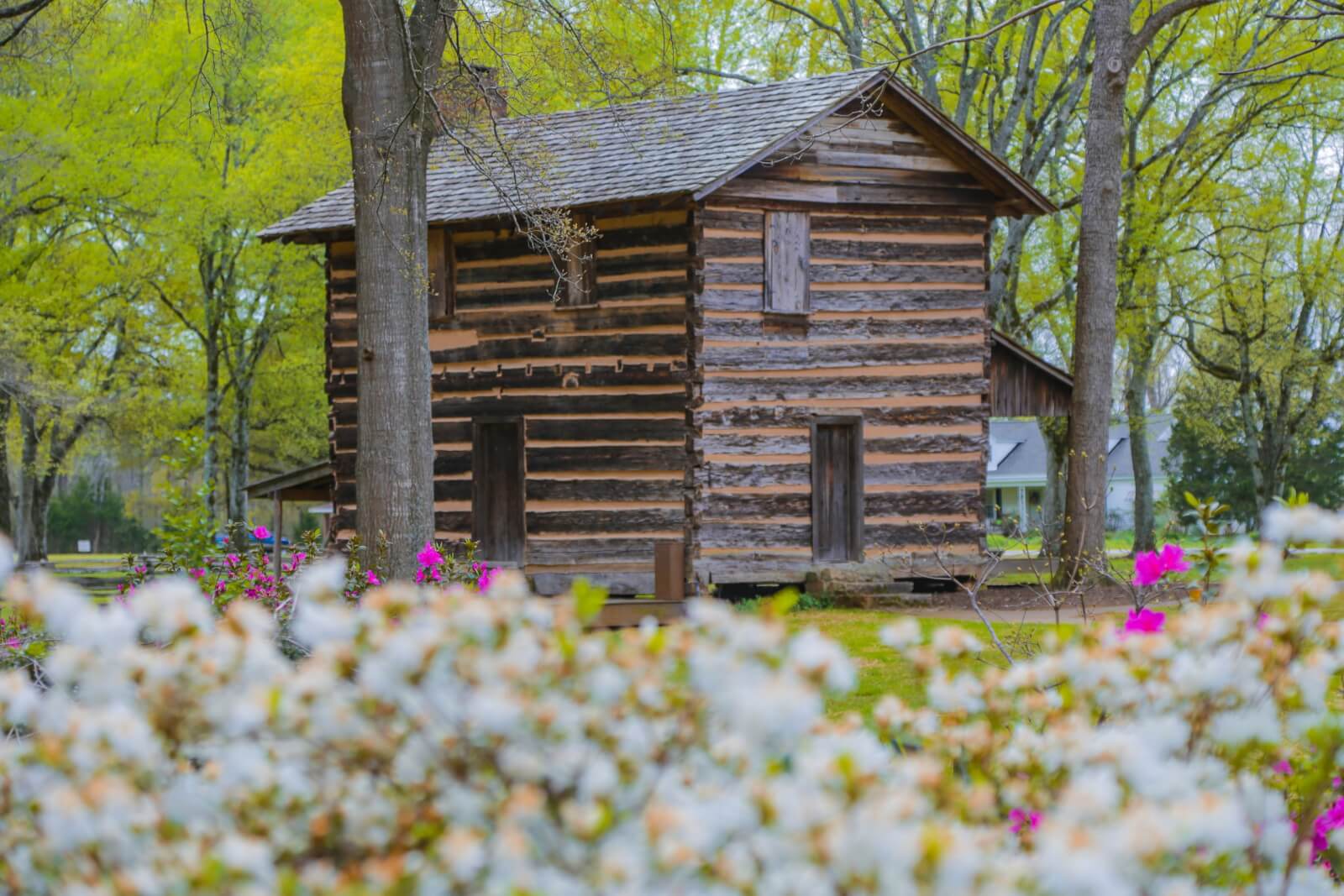 7 Best Family Vacations for Outdoor Fun - 12 A rustic log cabin nestled among trees and vibrant spring blossoms sets the perfect stage for family vacations. Blooming flowers in the foreground add a touch of color to this tranquil haven, promising outdoor fun for everyone.