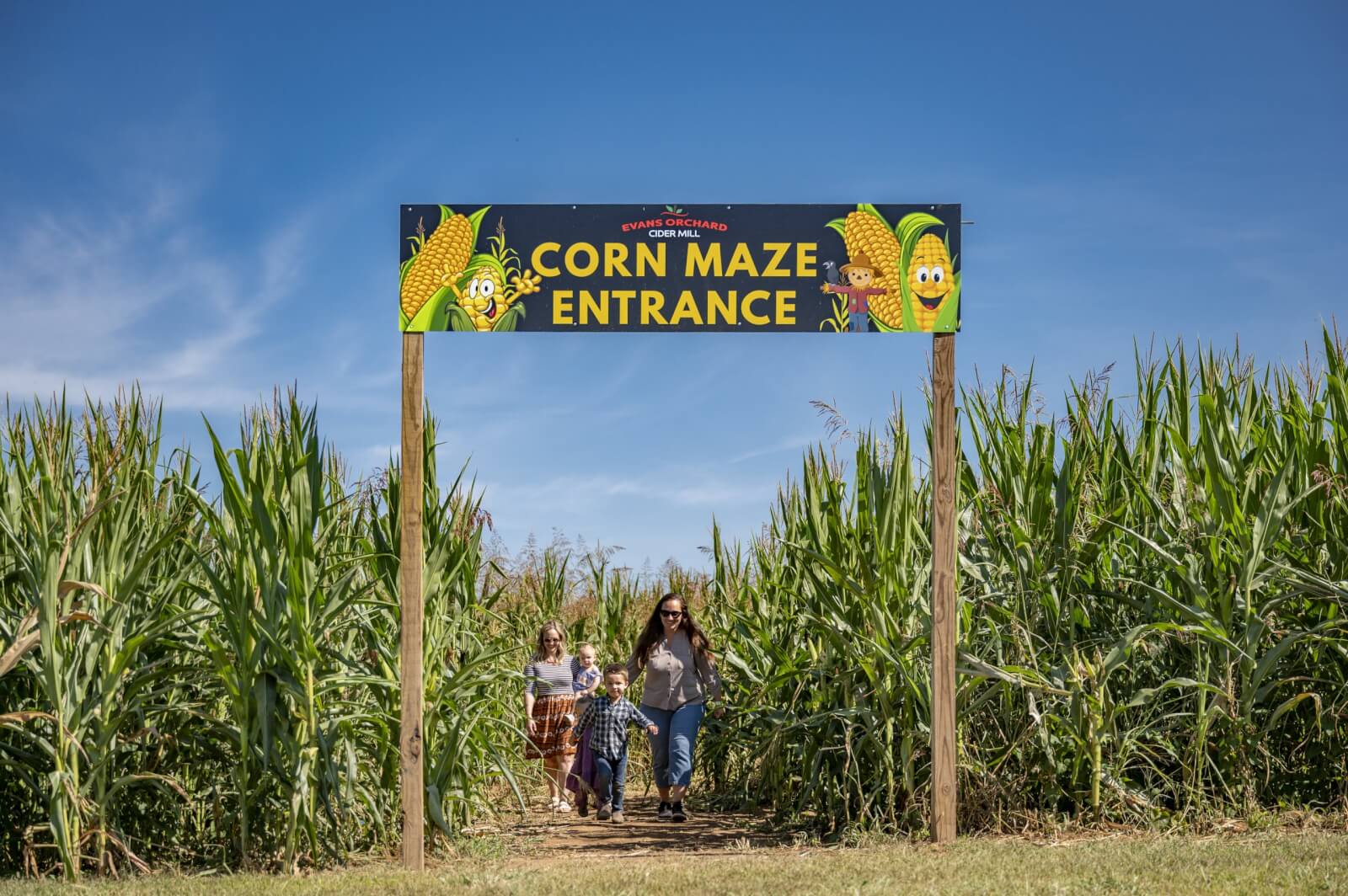7 Best Family Vacations for Outdoor Fun - 14 A woman and two children, enjoying some outdoor fun, walk under a "Corn Maze Entrance" sign at a sunlit cornfield.
