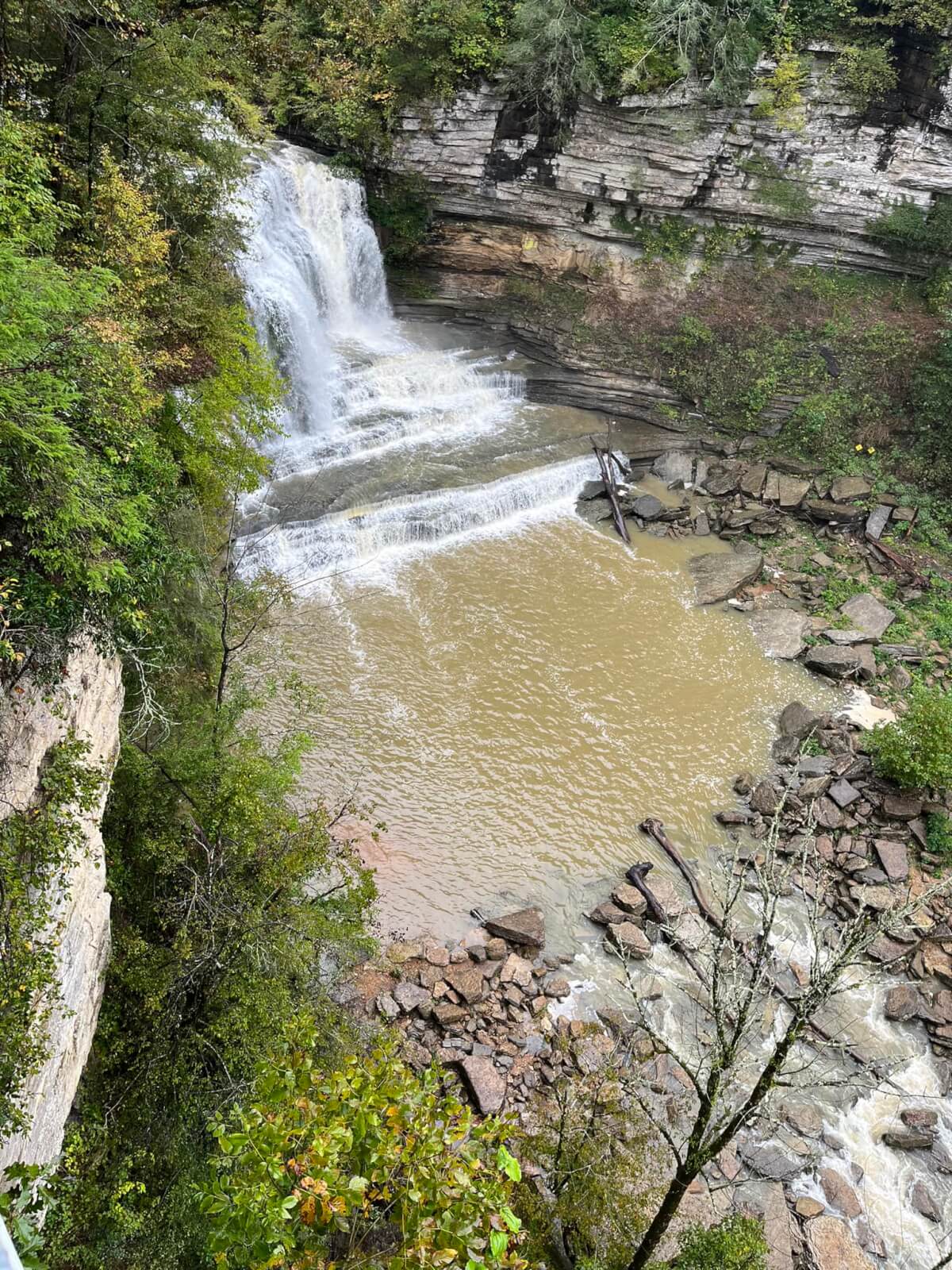6 Southern Outdoor Getaways for the Adventure Traveler - 7 A waterfall cascades over layered rock formations into a pool surrounded by trees and lush vegetation, perfect for the adventure traveler. Rocks and branches are visible in the water, creating an idyllic scene.