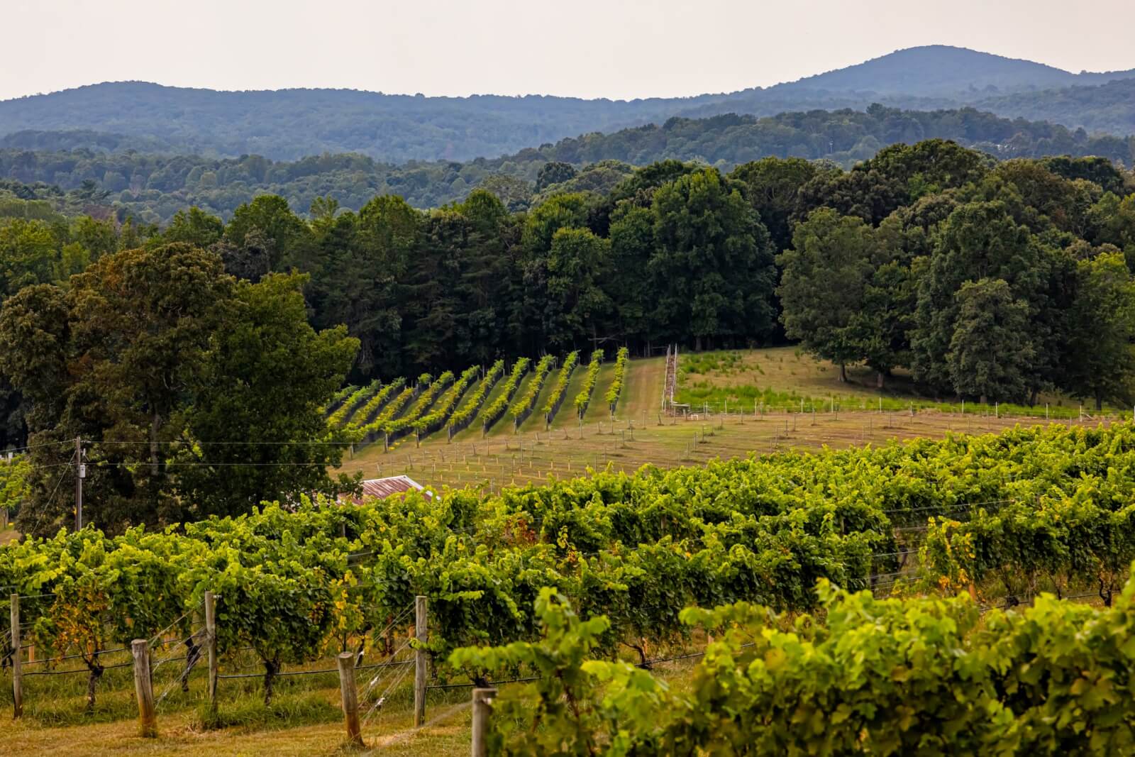 6 Southern Outdoor Getaways for the Adventure Traveler - 1 Lush vineyard landscape