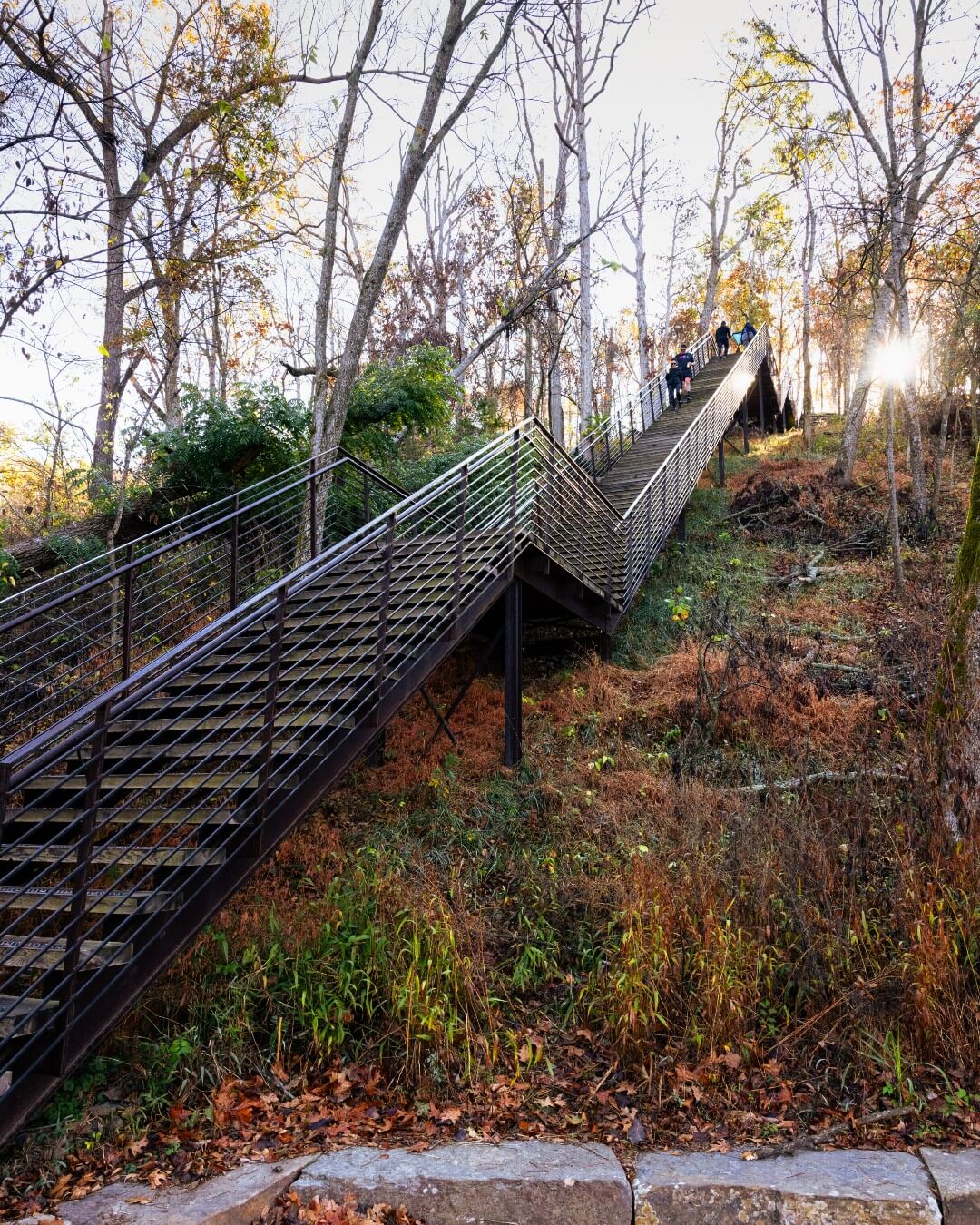6 Southern Outdoor Getaways for the Adventure Traveler - 17 Amidst a forest ablaze with autumn hues, an adventure traveler's dream unfolds—a tall metal staircase surrounded by trees. Sunlight dances through branches as explorers ascend the steps in this Southern outdoor getaway.