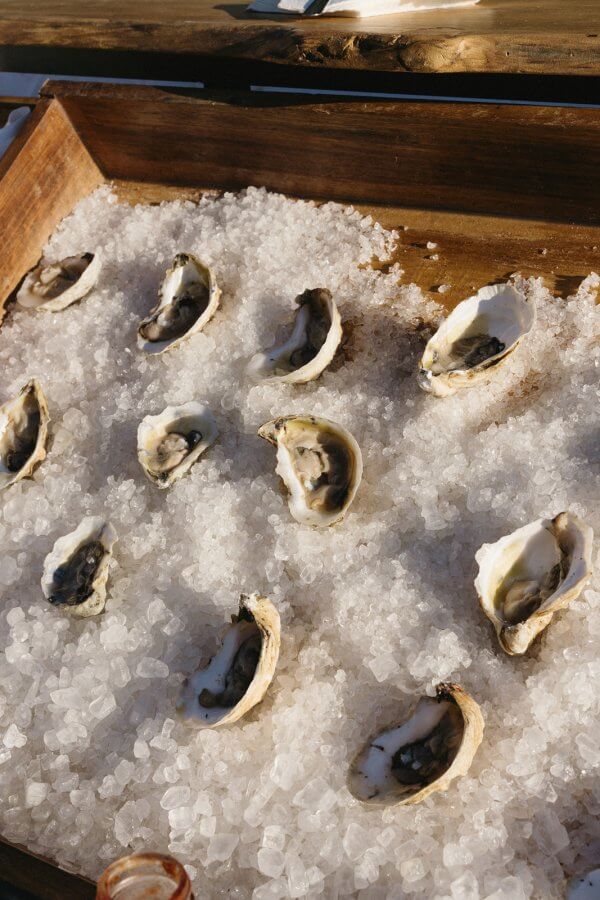 A charming wooden tray filled with ice holds twelve half-shell oysters, artfully arranged in rows—an elegant touch for any Pensacola wedding.