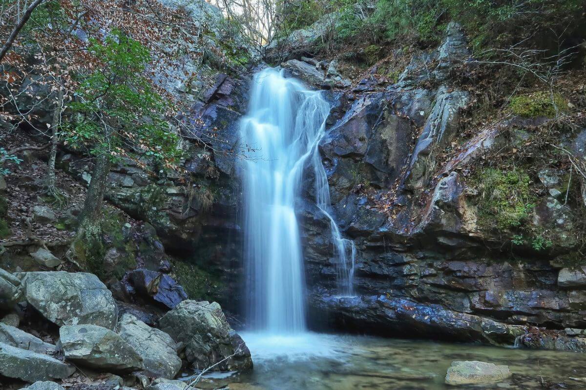 12 Birmingham-Area Waterfalls (Within an Hour of Town!)