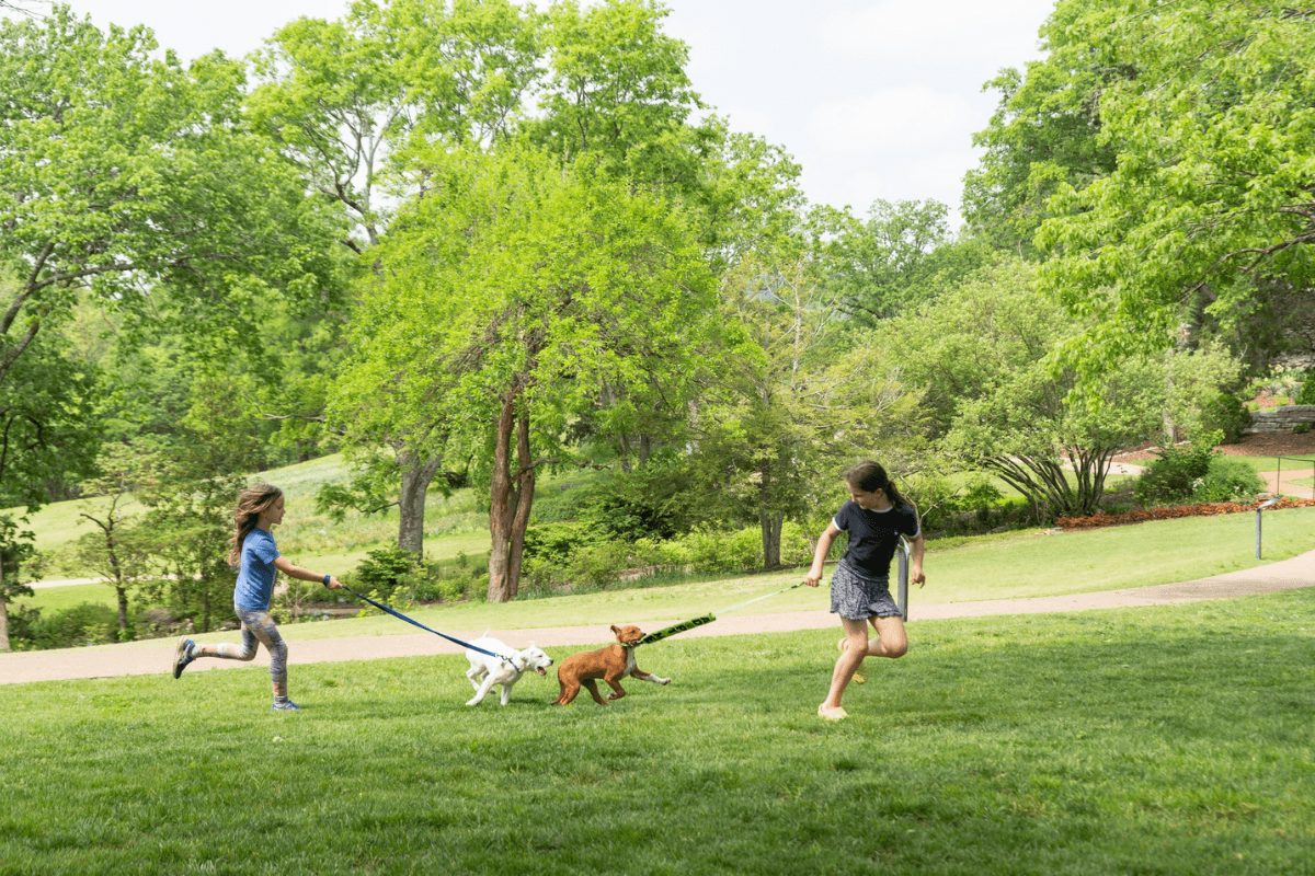 Two children are running on grass in a park, each holding a leash attached to a small dog, with trees and greenery in the background—capturing the joyful spirit of april events in Nashville.