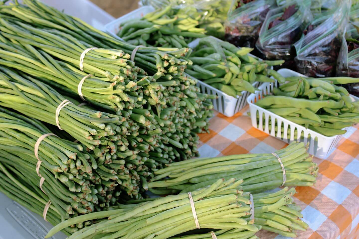 Bundles of long green beans are stacked on a table covered with a checkered cloth, evoking the culinary trails of Mississippi. Nearby sit plastic containers filled with snapped beans and bags of mixed produce.