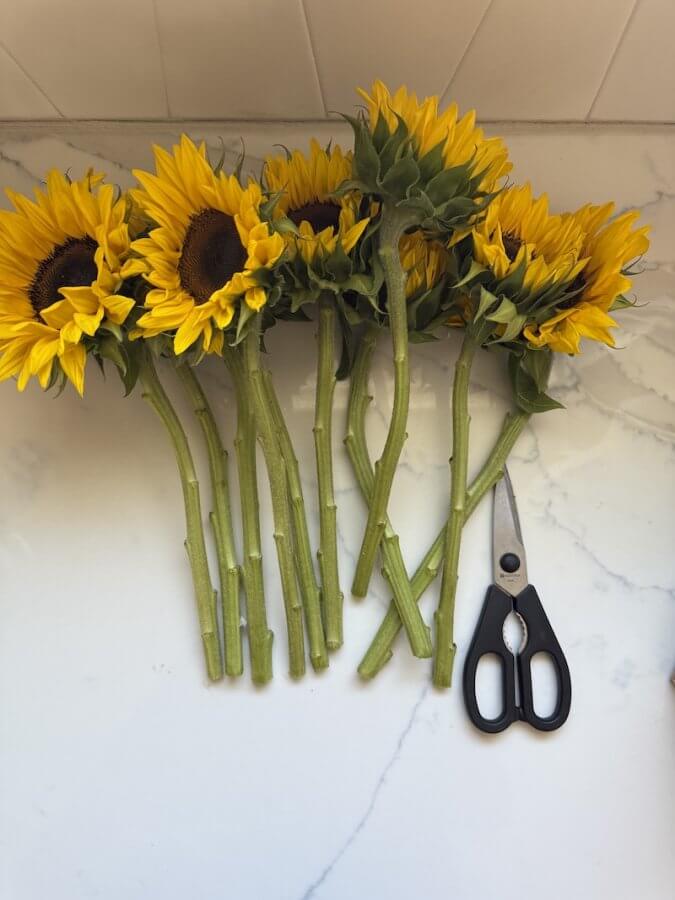 Seven sunflowers brighten the marble surface, accompanied by sleek black scissors, creating a delightful floral arrangement.