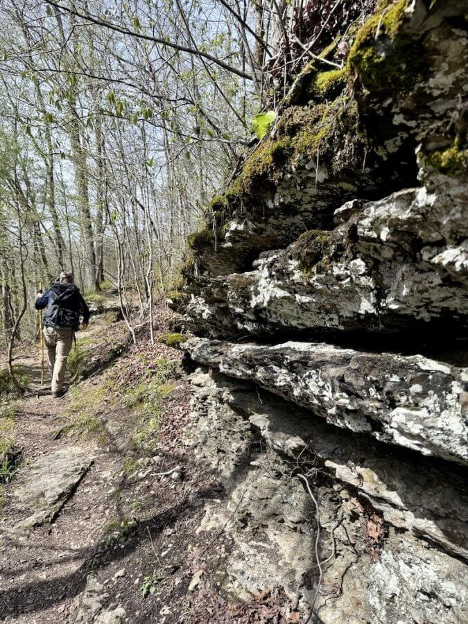 A person with a backpack meanders through a forest trail in Nashville beside a layered rock formation. Trees with sparse foliage line the 3-mile hike, offering glimpses of hidden beauty along the way.