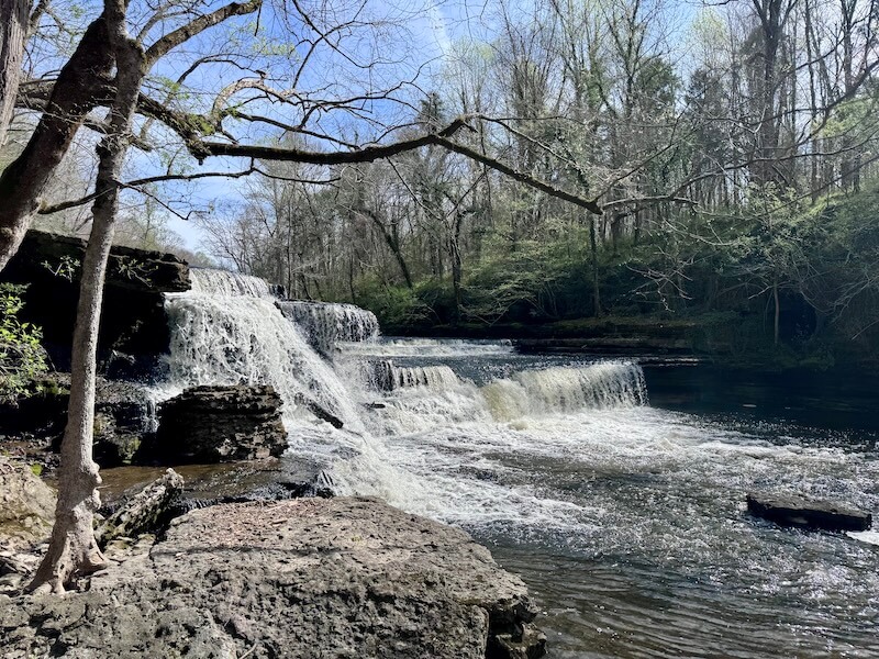 Experience the tranquility of nature on a 3-Mile Waterfall Hike near Nashville, where a cascading waterfall flows over rocky ledges into a calm river, surrounded by leafless trees and a dense forest.