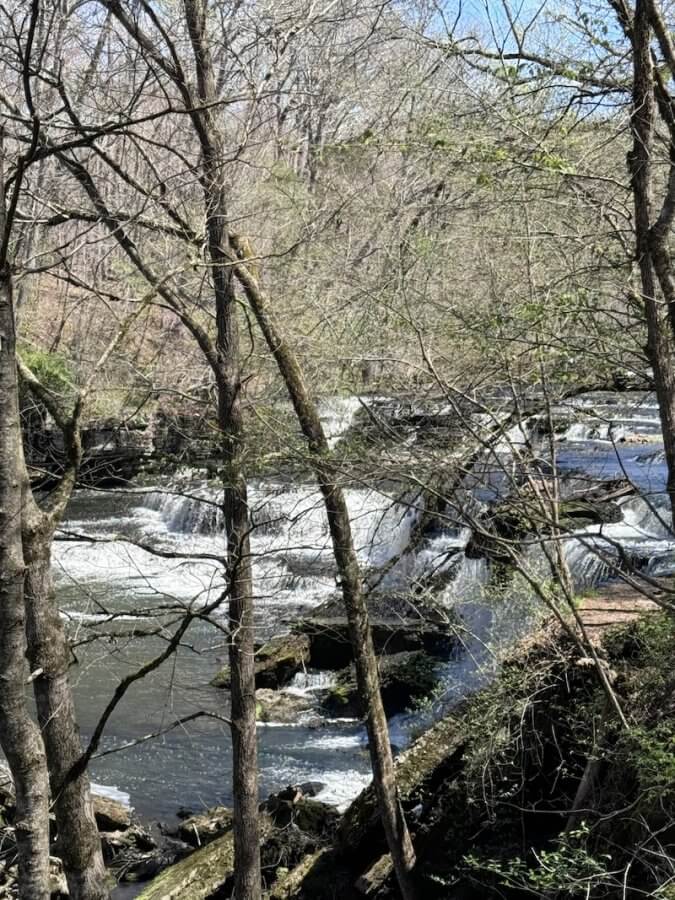 Experience the serene beauty of a waterfall as it cascades over rocky terrain on a clear day. This hidden gem, nestled within a forest of sparse, leafless trees near Nashville, invites you to embark on an invigorating 3-mile hike that promises both tranquility and adventure.