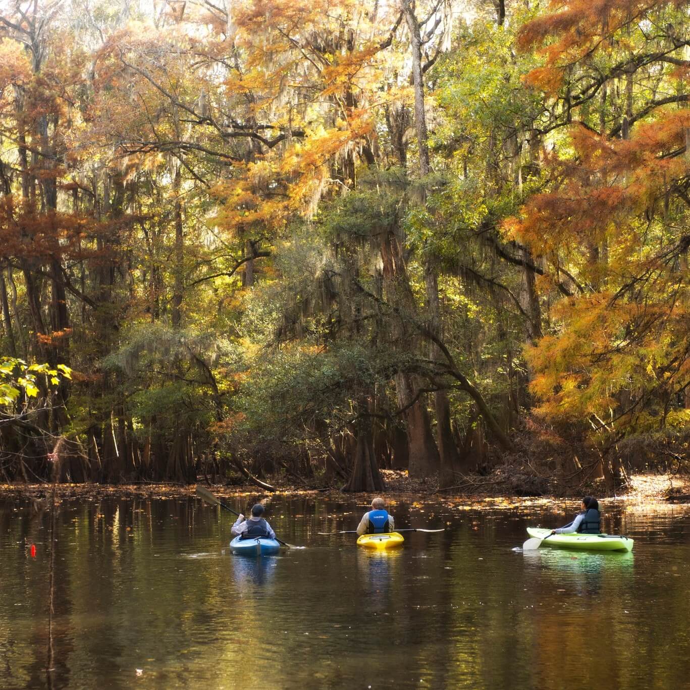 Three people in kayaks paddle on a calm river surrounded by trees with autumn foliage, exploring one of the Top Trails South and soaking in the hometown flavor of the scenic landscape.
