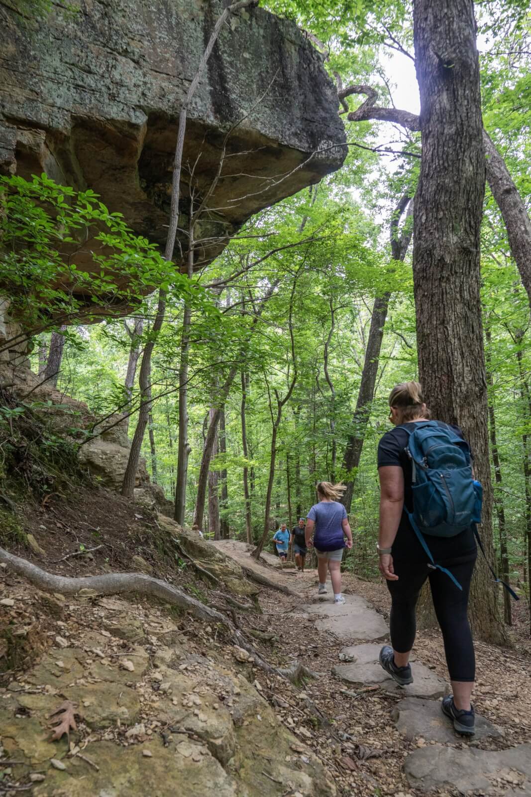 SB All Best Trails in the South Natchez Trace Parkway Tishomingo State Park scaled